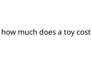 how much does a toy cost