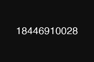 18446910028
