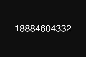 18884604332