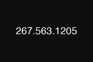 267.563.1205
