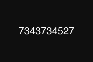 7343734527