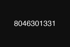 8046301331