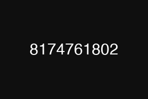 8174761802