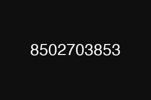 8502703853