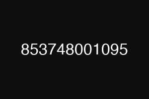 853748001095