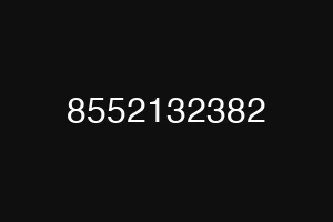 8552132382