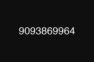 9093869964