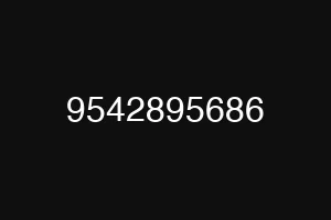9542895686