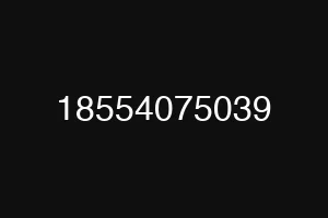 18554075039