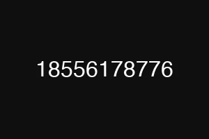 18556178776