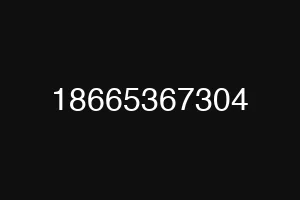 18665367304