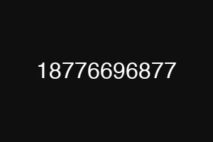 18776696877