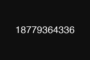 18779364336