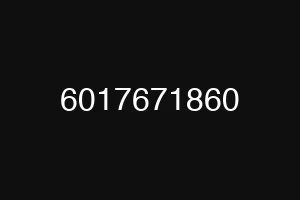 6017671860