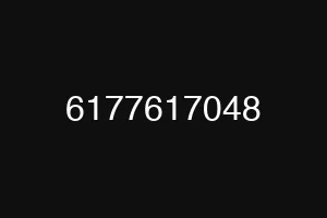 6177617048