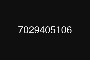 7029405106