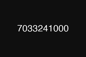 7033241000