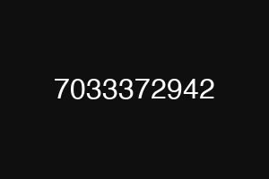 7033372942