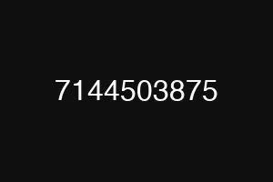 7144503875