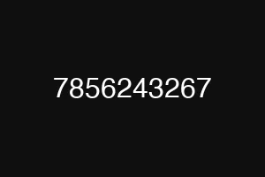 7856243267