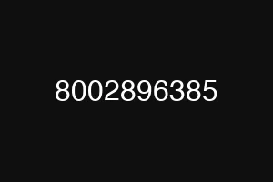 8002896385