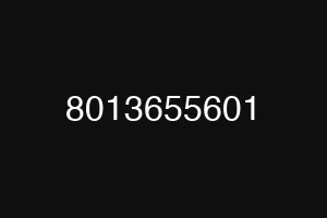 8013655601