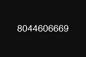 8044606669