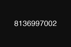 8136997002