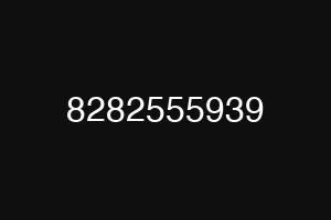 8282555939