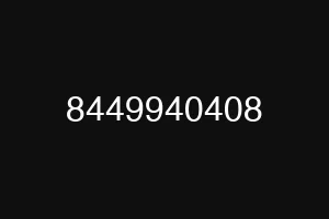 8449940408