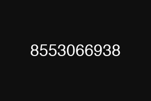 8553066938