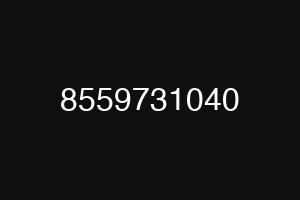 8559731040