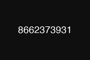 8662373931
