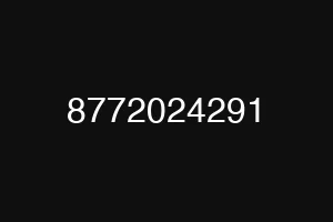 8772024291