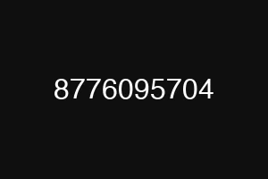 8776095704
