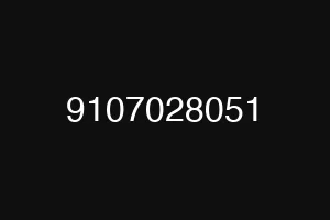 9107028051