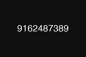 9162487389