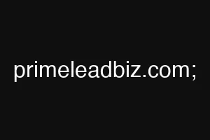 primeleadbiz.com;